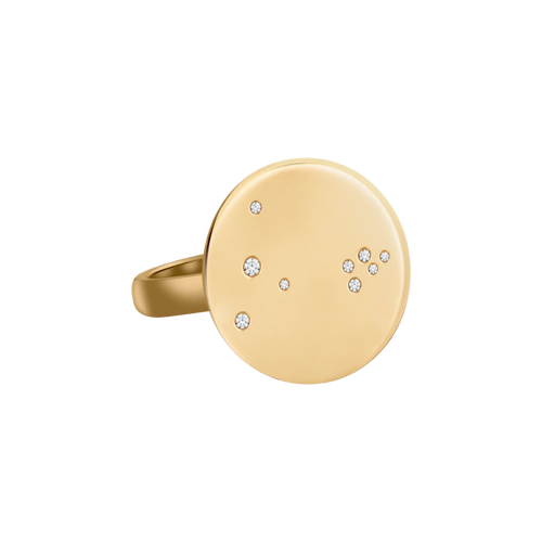 Pisces Constellation Ring in Yellow Gold, polished finish