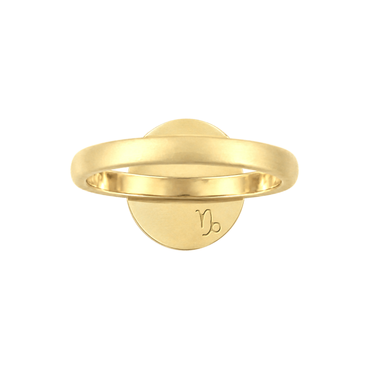 Capricorn Constellation Ring, back: engraved with the Capricorn sign
