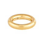 Torus Ring